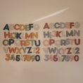 Load image into Gallery viewer, Letters & Numbers Bath Play Set