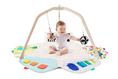 Load image into Gallery viewer, The Play Gym