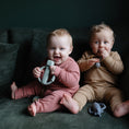 Load image into Gallery viewer, Rattle Teethers