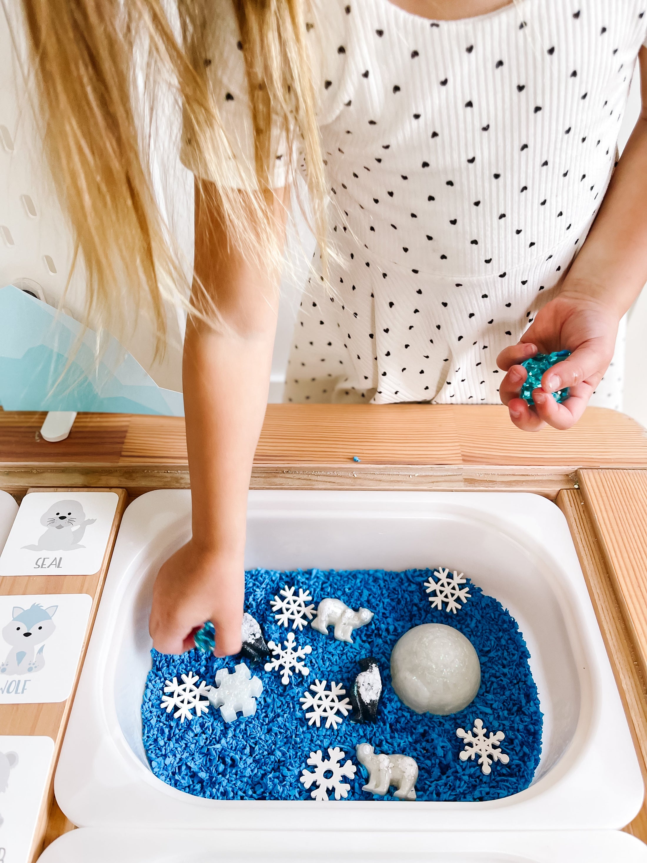 Arctic Polar Animals Printable Dramatic Play
