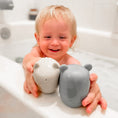 Load image into Gallery viewer, Ollie’s Friends Water Toys