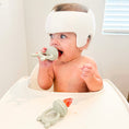 Load image into Gallery viewer, The Nourishing Nibbler Bear Feeder