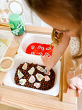 Load image into Gallery viewer, Bugs Printable Dramatic Play
