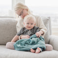 Load image into Gallery viewer, LUSH MINI BLANKETS