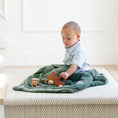 Load image into Gallery viewer, LUSH RECEIVING BLANKETS