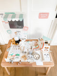 Load image into Gallery viewer, Vet Clinic Dramatic Play