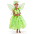 Load image into Gallery viewer, Butterfly Princess Costume