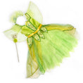 Load image into Gallery viewer, Butterfly Princess Costume