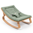 Load image into Gallery viewer, Baby Rocker for Ages 0-24 Months in Fern