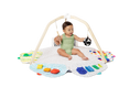 Load image into Gallery viewer, The Play Gym