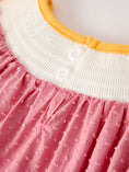 Load image into Gallery viewer, Fall Thanksgiving Turkey Leaf Embroidery Smocking Bow Girls Dress