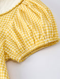 Load image into Gallery viewer, Yellow Goose Embroidered Smocked Plaid Dress