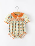 Load image into Gallery viewer, Fall Floral Stripe Baby Romper Petals Collar Smocked Puff Sleeve