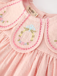 Load image into Gallery viewer, Fall Baby Girl Pink Floral Embroidered Peter Pan Collar Dress