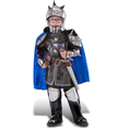 Load image into Gallery viewer, Silver Knight
