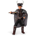 Load image into Gallery viewer, Kids Viking Costume