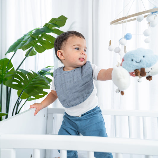 Muslin Bibs in Multicolor