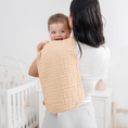 Load image into Gallery viewer, Muslin Burp Cloths in Multi Girl
