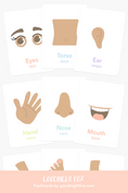 Load image into Gallery viewer, Body Parts Flashcards