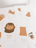 Load image into Gallery viewer, Body Parts Flashcards