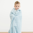Load image into Gallery viewer, LUSH TODDLER BLANKETS