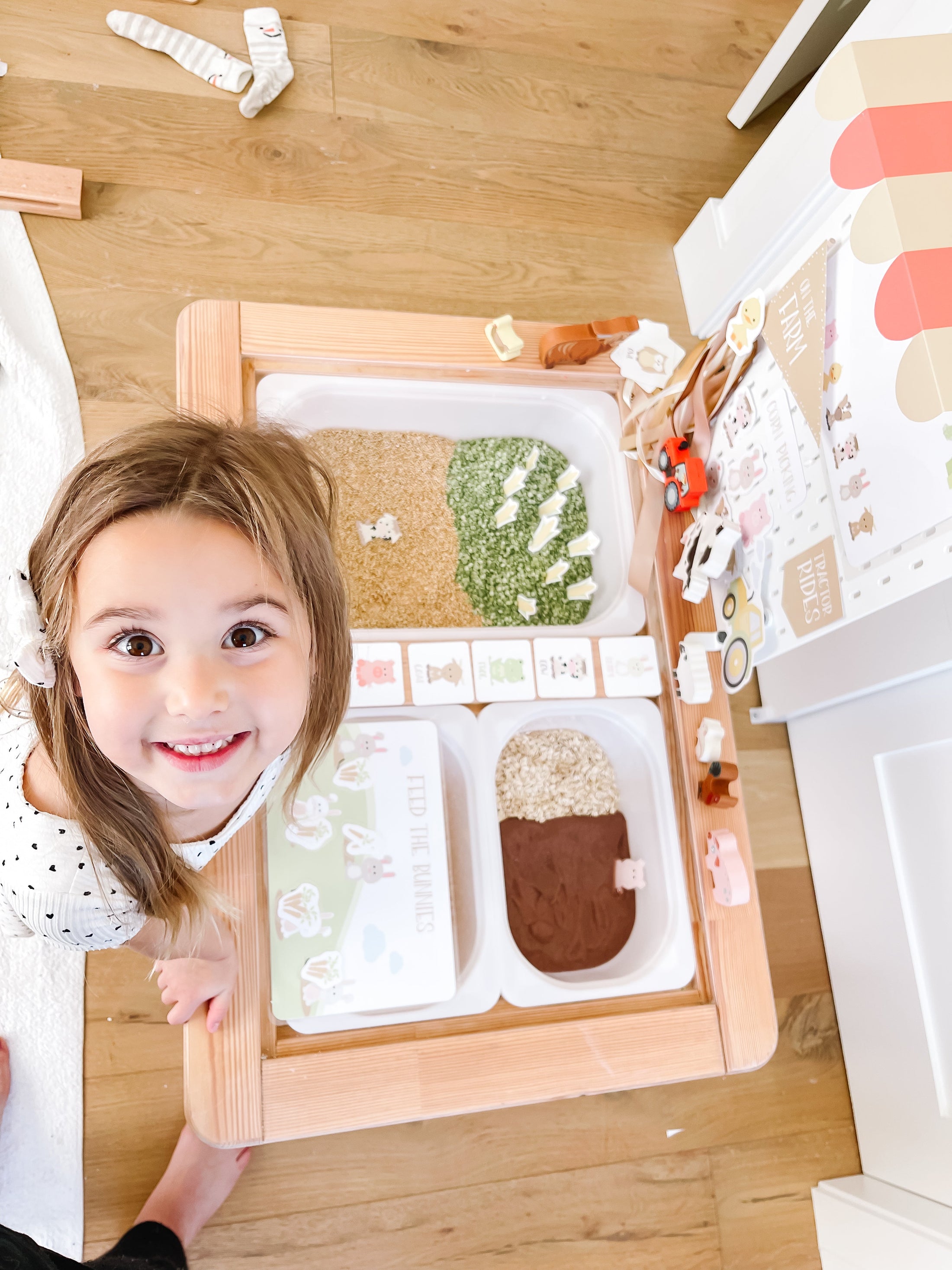 Farm Animal Printable Dramatic Play Kit