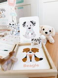 Load image into Gallery viewer, Vet Clinic Dramatic Play