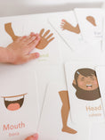 Load image into Gallery viewer, Body Parts Flashcards