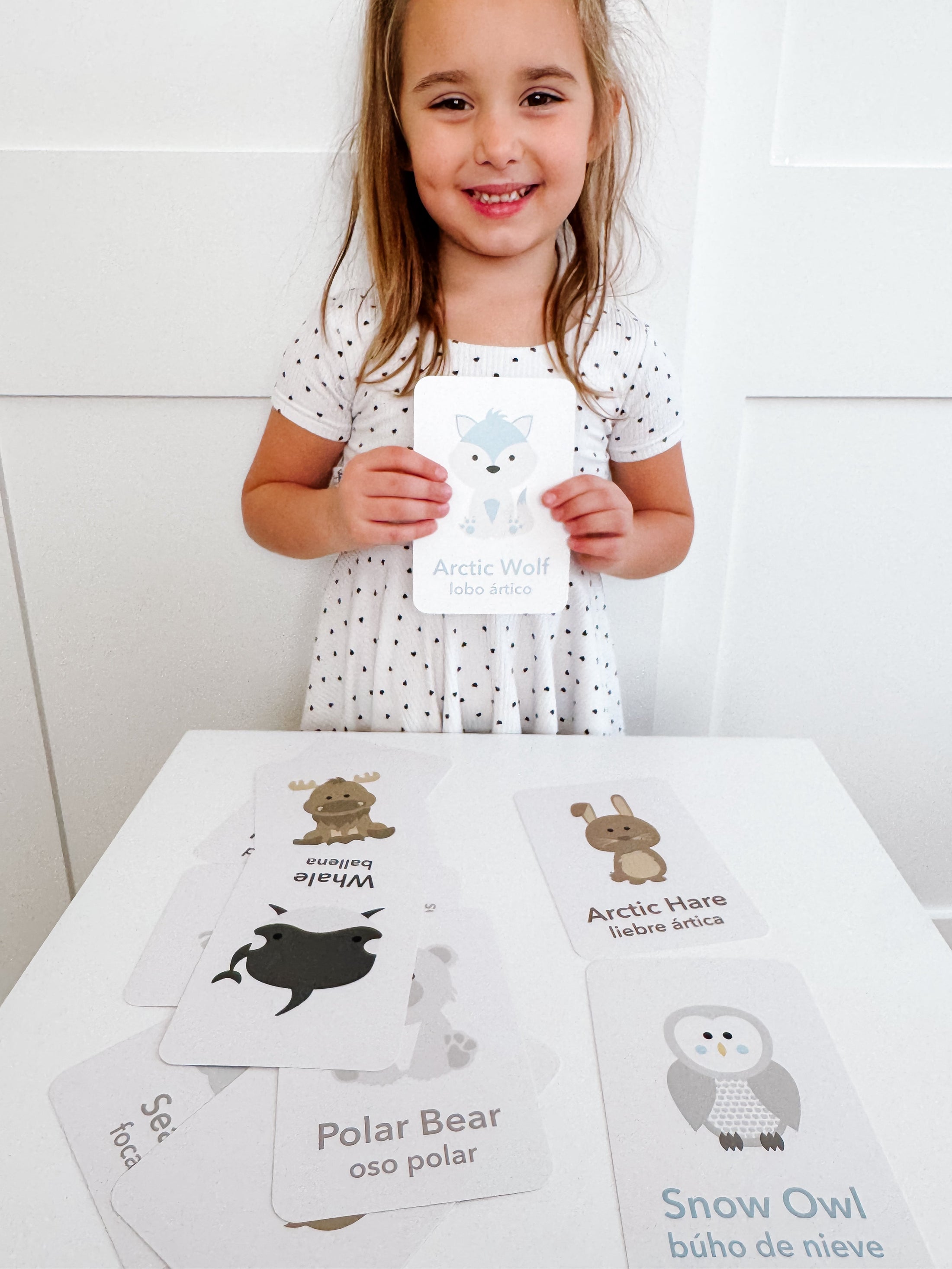 Arctic Animals Flashcards