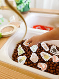 Load image into Gallery viewer, Bugs Printable Dramatic Play