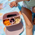 Load image into Gallery viewer, Hayden Bento Box - Petal Pink