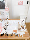 Load image into Gallery viewer, Vet Clinic Dramatic Play