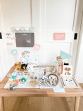 Load image into Gallery viewer, Vet Clinic Dramatic Play