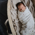 Load image into Gallery viewer, Organic Cotton Muslin Swaddle Blanket