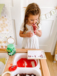 Load image into Gallery viewer, Bugs Printable Dramatic Play