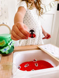 Load image into Gallery viewer, Bugs Printable Dramatic Play