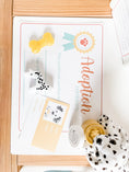 Load image into Gallery viewer, Pet Adoption Clinic Dramatic Play