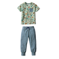 Load image into Gallery viewer, Jogger Set - Little Pines