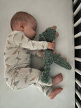 Load image into Gallery viewer, Snugglesaurus 2pc Henley Bamboo Pajamas - Sizes Newborn & Up!
