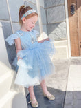 Load image into Gallery viewer, Little Princess Girls Tulle Dress
