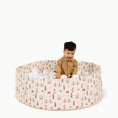 Load image into Gallery viewer, Wholesale Ball Pit