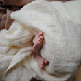 Load image into Gallery viewer, Organic Cotton Muslin Swaddle Blanket