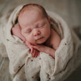 Load image into Gallery viewer, Organic Cotton Muslin Swaddle Blanket