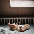Load image into Gallery viewer, Organic Cotton Muslin Swaddle Blanket