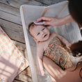Load image into Gallery viewer, Cradle Cap Brushes