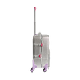 Load image into Gallery viewer, Logan Carry-On Suitcase