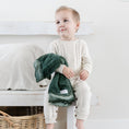 Load image into Gallery viewer, LUSH MINI BLANKETS