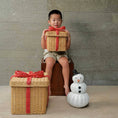 Load image into Gallery viewer, Rattan Storage Gift Boxes - Set of 2