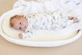 Load image into Gallery viewer, Snugglesaurus 2pc Henley Bamboo Pajamas - Sizes Newborn & Up!