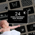 Load image into Gallery viewer, High-Contrast Vision Development Cards